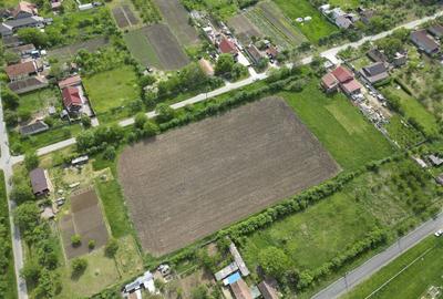 Teren de 3090 mp, în Cuvin - 19