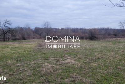 Spațiu comercial, în Crasna - 2