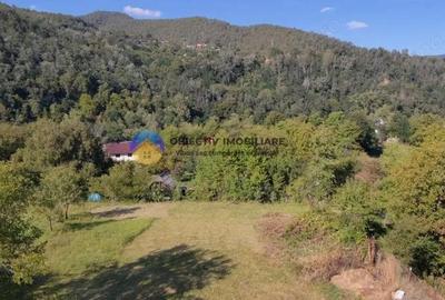 Casă cu 3 camere cu Teren 6329 Mp în Alexandru cel Bun - 17