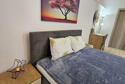 Garsonieră decomandată în Dacia - 7