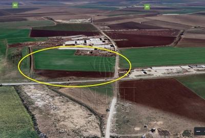 Teren intravilan – 13125mp – pe varianta orașului Ovidiu - 2