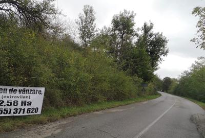 Spațiu comercial, în Rudicica - 1