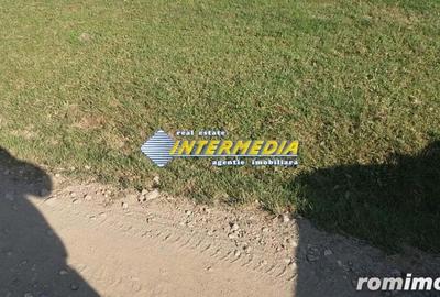 Teren Intravilan 600 mp. de vanzare Alba Micesti parcele diverse - 5
