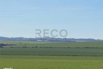 Teren de 42050 mp, în Tăut - 3