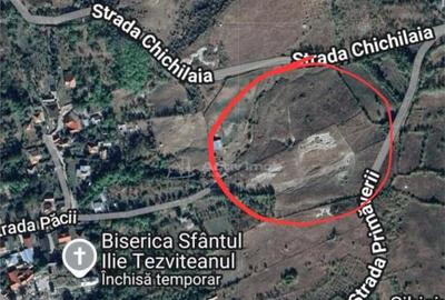 Teren extravilan 10000 mp, com Panatau - 1