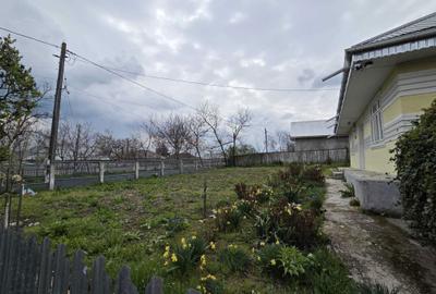 Casă cu 3 camere în Berezeni