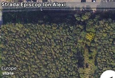 Spațiu comercial, în Oncea