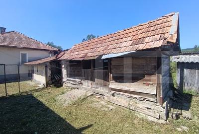 Casa cu 3 camere si o bucatarie de vara si 1300 mp teren si anexe - 7