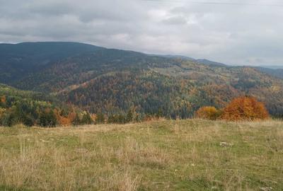 Teren de 60000 mp, în Vadu Moților - 5