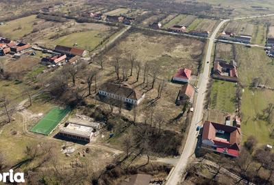 Casă cu 8 camere cu Teren 7235 Mp în Traian Vuia - 9