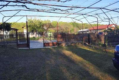 Teren de 1211 mp, în Sfârleanca