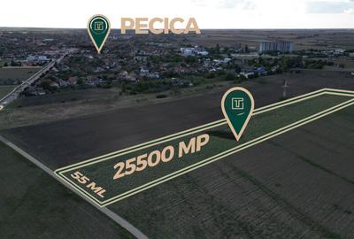 Teren intravilan cu po?en?ial de 25500 mp in Pecica - 1