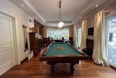 Vila individuala, teren 3000 mp, Iancu Nicolae - 14