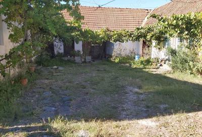 Casă cu 5 camere în Babșa - 1