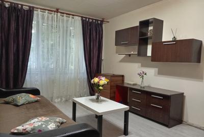 Pantelimon- garsoniera bine pozitionata - 2