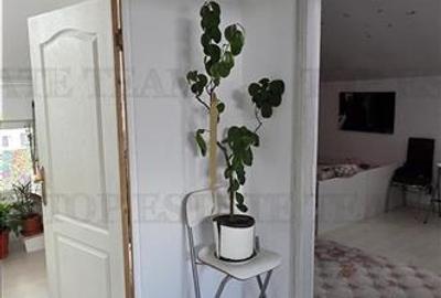 Apartament 3 camere, 80mp, toate utilitatile, zona McDonalds Alexandriei - 13