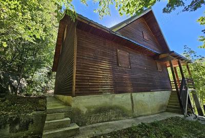 Cabana de vanzare Lep?a, jud. Vrancea - Cheile Ti?i?ei - 2