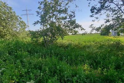 Teren de 5000 mp, în Copăceni