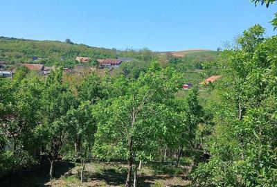 Casă cu 3 camere cu Teren 1000 Mp în Iclod - 4