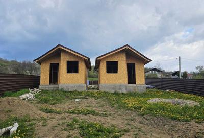 Casă cu 2 camere în Gorgota - 7