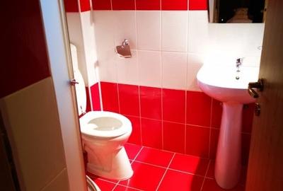 Casa tip duplex, P+M, Montanstar, mobilata, GARAJ - 17