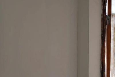 Casa la 40 km de Boto?ani Casa la 40 km de Boto?ani - 4