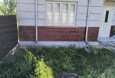Casa de vinzare In Comuna Ziduri Sat Costieni Buzau la 10 Km de Rm Sarat - 6