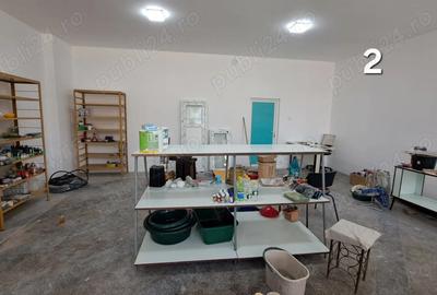 Spațiu comercial, de 50 mp, în Carani - 3