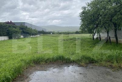Teren intravilan/extravilan de vanzare, in suprafata de 3000 - 2