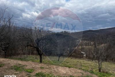 Teren de 12458 mp, în Meteș - 4