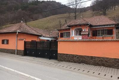 Casa de vanzare in Rau Sadului - 4