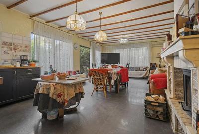 COMISION 0% | 2 Case cu Spatiu Comercial | Teren 1019mp | 540 eur/mp - 3