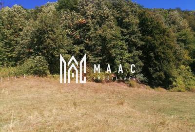 Teren Extravilan 20.000Mp I Stoenești -Vâlcea I Apă Curentă și Pădure - 9