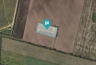 Oportunitate Unica de Investi?ie! - 1