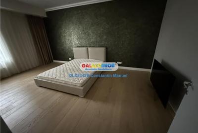 Apartament 4 camere, cu gradina, Barbu Vacarescu - 2