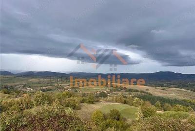 TEREN | 9341 MP | BALNACA GROSI | BIHOR - 10