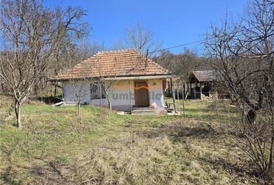 Casă individuală cu 1 camere în Corpadea