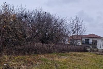 Tunari - Camil Petrescu teren 1000 mp deschidere 23 ml, electricitate, canal - 2