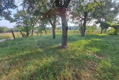 Casă individuală cu 3 camere cu Teren 2000 Mp în Runcu - 6