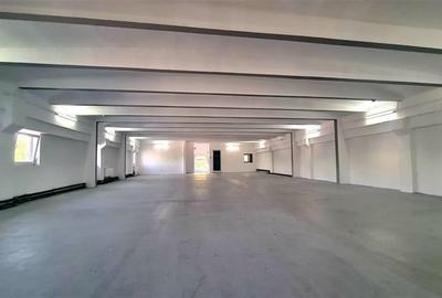Cladire comerciala 760 mp la artera, zona IULIUS MALL - 6