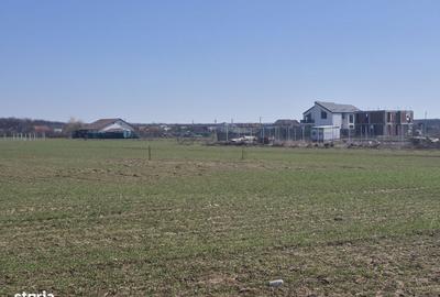 Spațiu comercial, în Balotești - 10