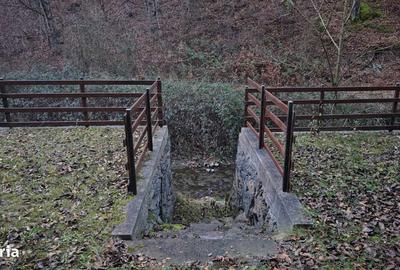 Casă cu 4 camere cu Teren 1200 Mp în Bratca - 20