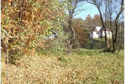 Teren de 1000 mp, în Drăgăneasa