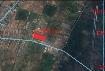 Teren agricol intravilan de 24000 mp, în Central - 1