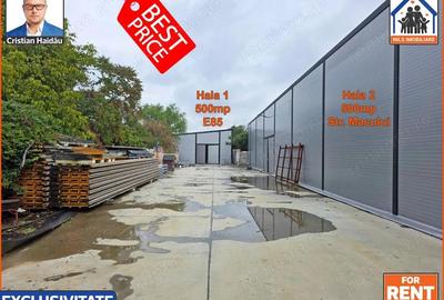 2 x Hala 500mp | 3,2e/mp! | E85 si Macului |Utilitati | Afumati IF - 10