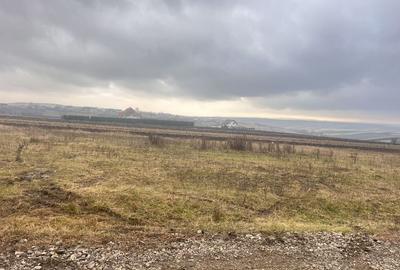 Teren De Vanzare I Moara, Suceava I Preț: 45.000 Euro - 10