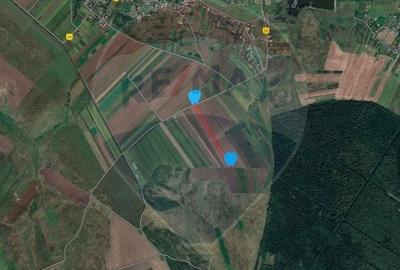 Teren extravilan de Vanzare 17.356 mp in Com. Miroslava - Iasi - 4