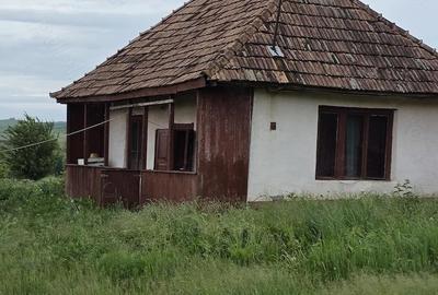 Casă cu Teren 5000 Mp în Șăulia - 2