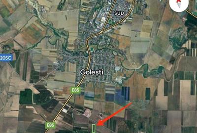 Teren de 6500 mp, în Golești - 1