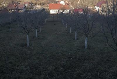 Casă cu 2 camere cu Teren 2984 Mp în Avrămești - 4